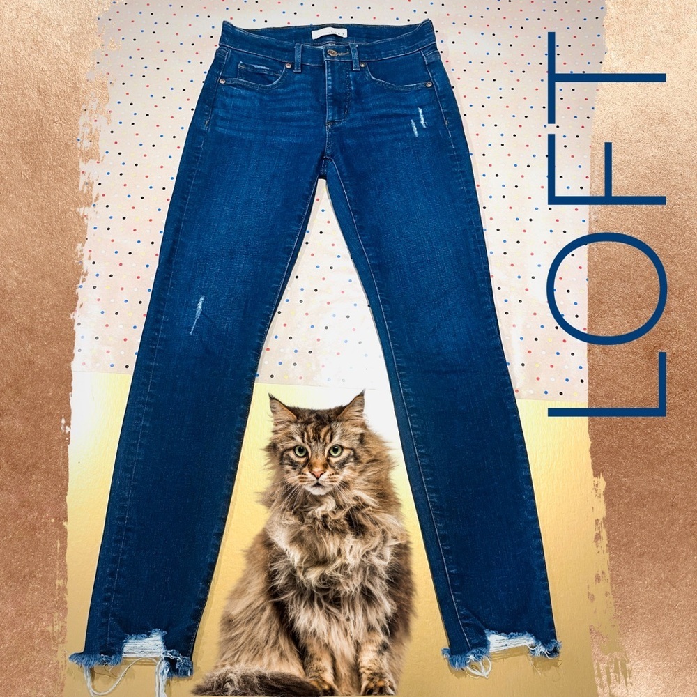 Ann Taylor LOFT Skinny Distressed Blue Jeans Size 24 / 00